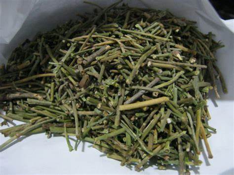 Somlata|Soma|Ephedra gerardiana| 250 Gm Secondary image