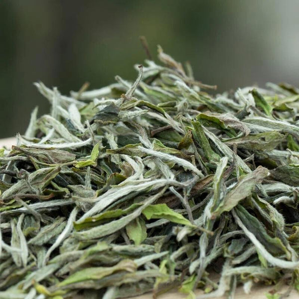 CIFbuy 1000g FuDing High Mountain Bai Mu Dan White Tea Aged White Peony Pai Mu Tan tea