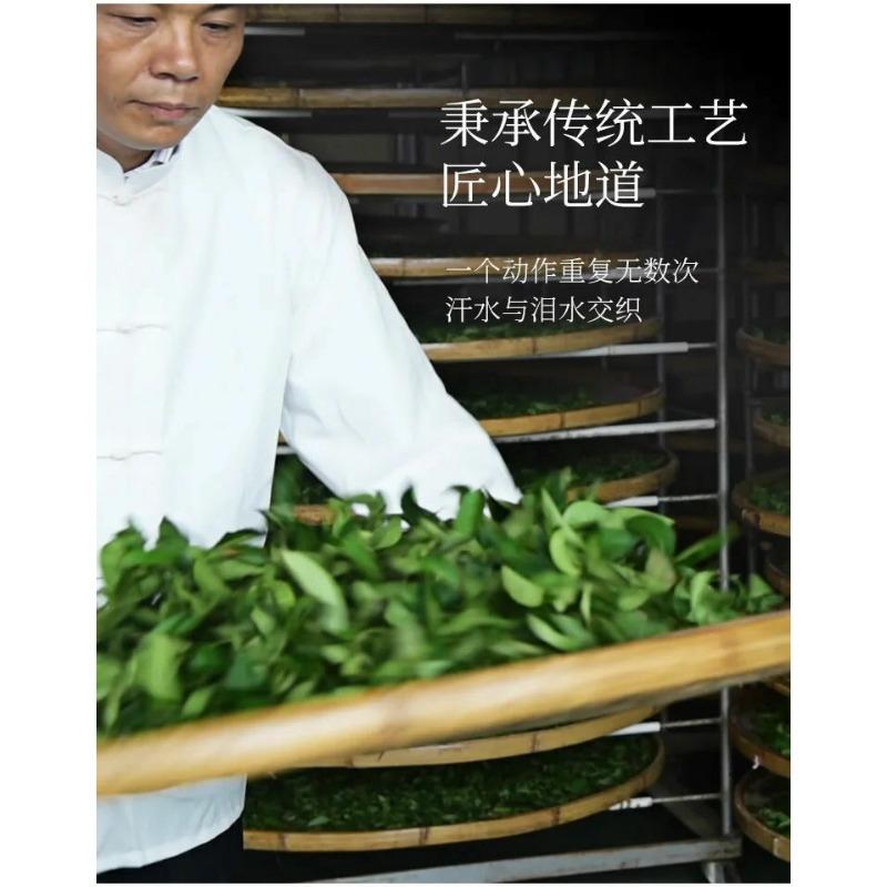 CIFbuy TenFu's TEA You Ran Fujian Tie Guan Yin Tieh Kwan Yin Oolong Tea 100g Tin