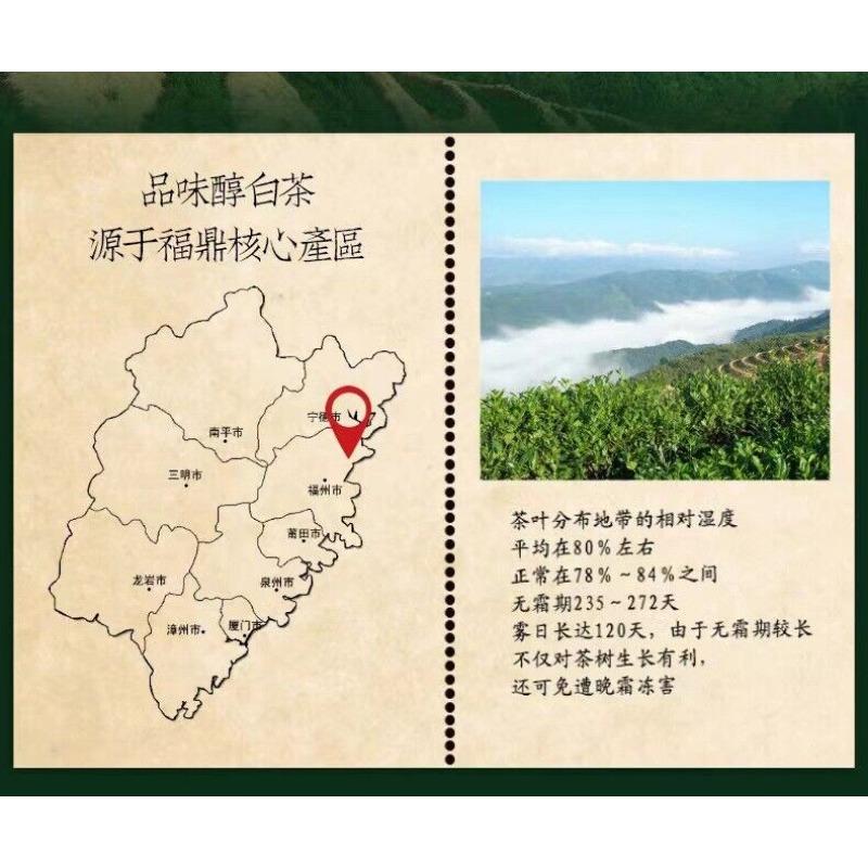 CIFbuy 350g Fuding High Mountain Old White Tea High Mountain Sun White Tea Tea Cake