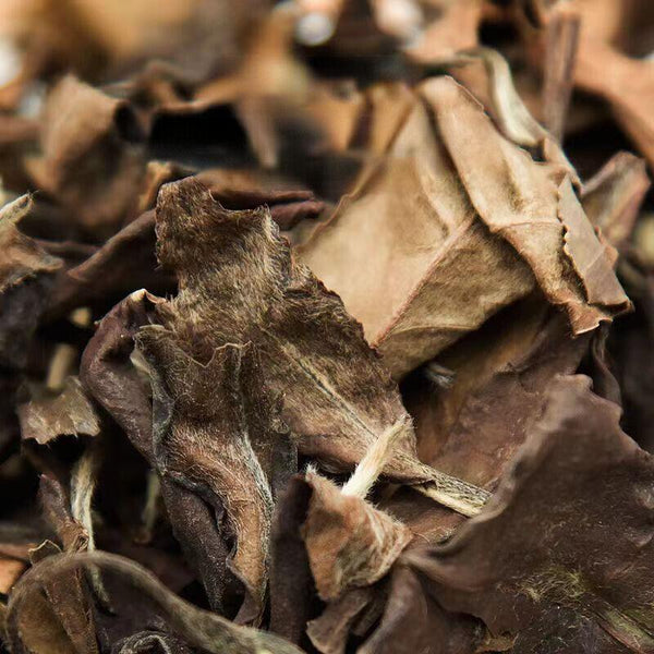 CIFbuy 100g Shoumei Organic Old White Tea Fuding White Tea Loose Leaf Healthy Drink Tea