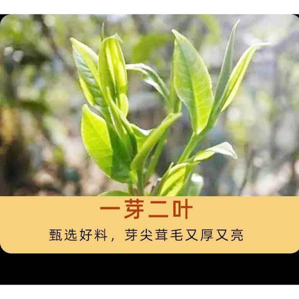 CIFbuy 357g Yunnan Tea Pu'er Raw Tea Savage Ancient Tree Pu'er Tea Pu'er Tea Cake