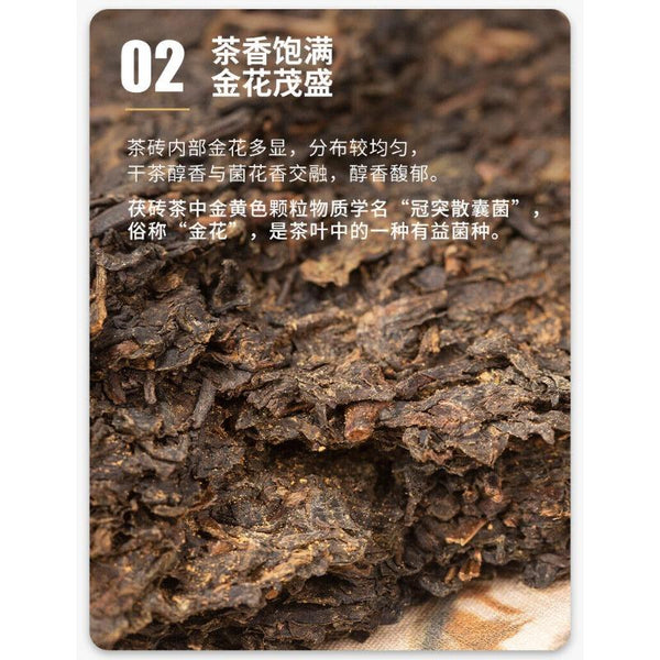 CIFbuy CHINATEA COFCO Hunan Jin Hua Special Fu Brick Tea Fu Zhuan Anhua Dark Tea 380g