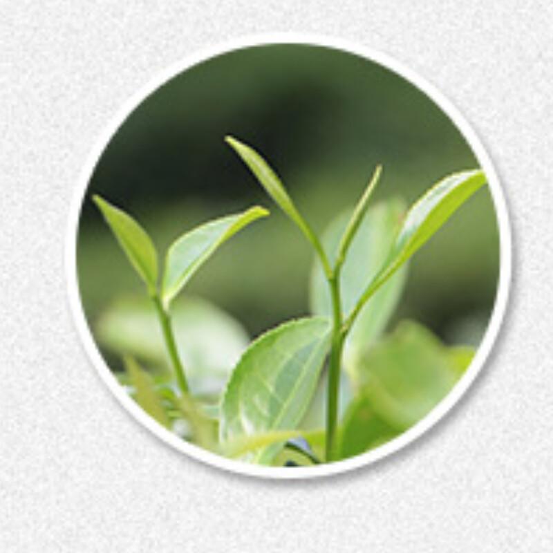 CIFbuy 350g 2012 Fuding White Peony Tea Cake Slimming Wellness