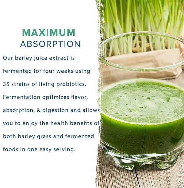 HelloYoung Imported Unsweetened Premium Organic Barley Grass 100% Pure&Natural Nutritionally Complete Mix into Smoothie or Juice