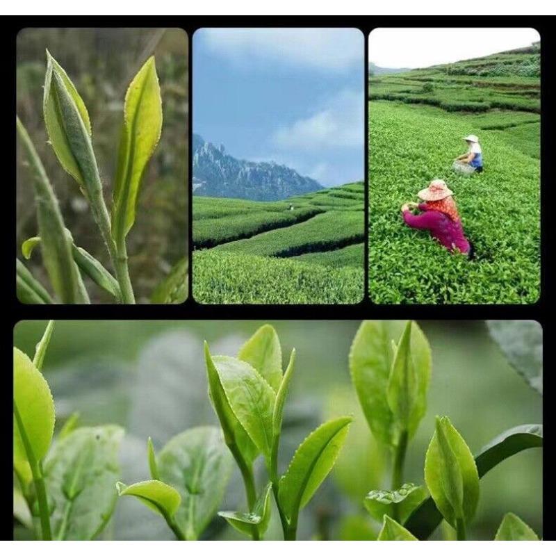 CIFbuy 100g Fuding White Tea Old Shoumei Aged Jujube Herbal White Tea Small Cake