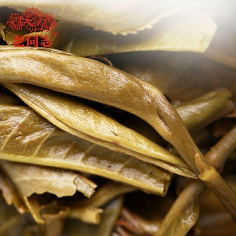 CIFbuy Premium Haiwan Pa Sha Ancient Tree Raw Puer Tea 500g Aged Tree Sheng Puerh Tea