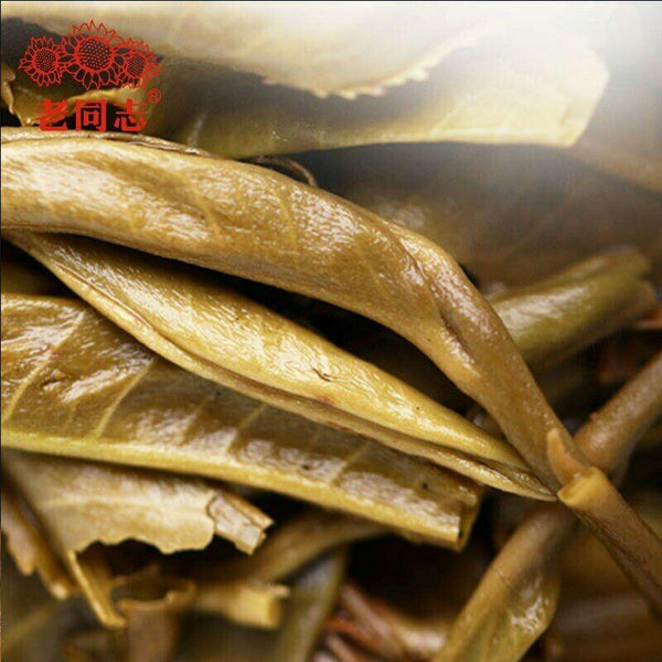 CIFbuy Premium Haiwan Pa Sha Ancient Tree Raw Puer Tea 500g Aged Tree Sheng Puerh Tea