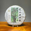 CIFbuy Shen Shan Lao Shu * 2017 Haiwan Old Comrade Lao Tong Zhi Raw Sheng Puer Tea 500g
深山老树 * 2017 海湾老同志老同志生普洱茶叶 500克