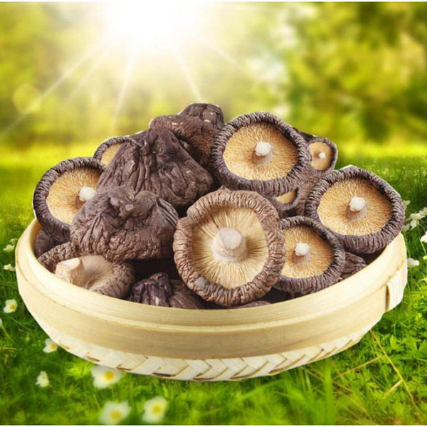 CIFbuy Dried Shiitake Mushrooms Edible Fungus Natural Healthy Nutritious Gourmet