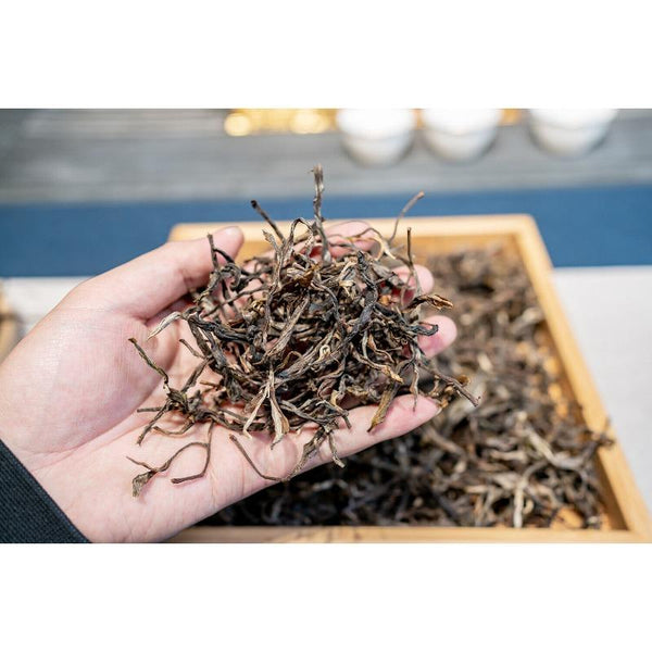 CIFbuy 500g Knowing Over Ancient Puerh Raw Tea Honey Scented Orchid Scented Green Tea