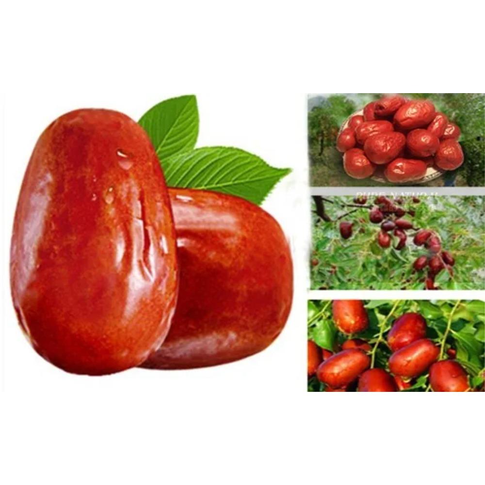 CIFbuy Organic Dried Jujube Dates 250g Natural Healthy Energy Snack
