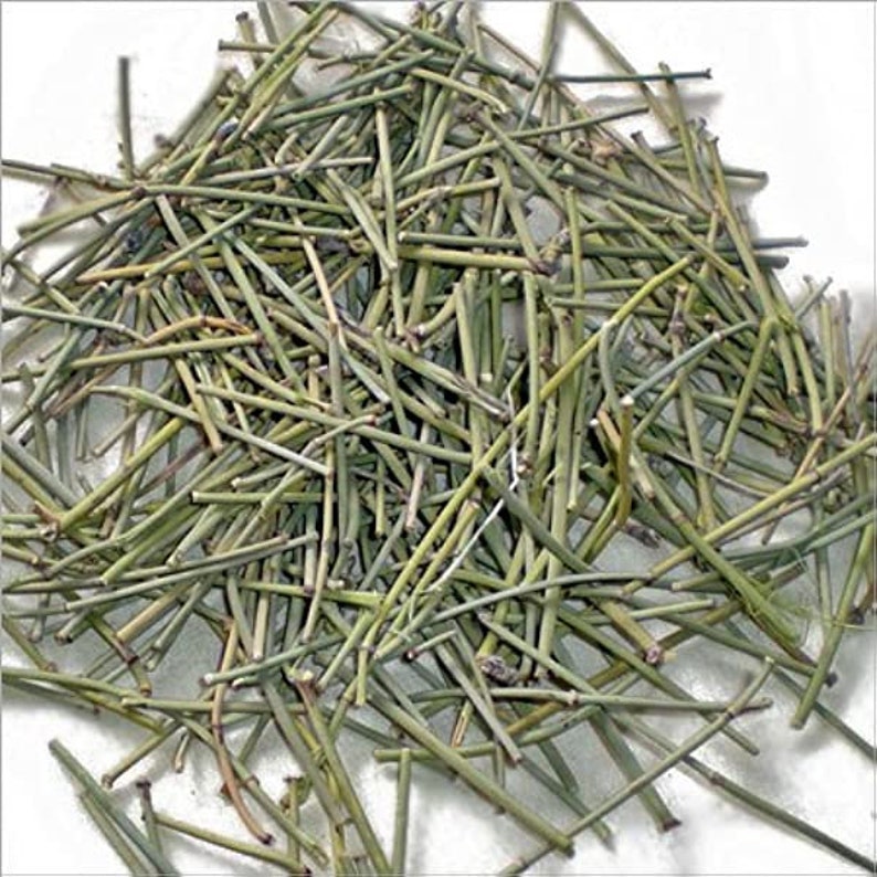 Somlata whole, Somlata churna, Gerard Jointfir Ain Khanta, Ephidra Girardiana, Somlata Powder, Soma Gerardiana, Indian natural herb Main image