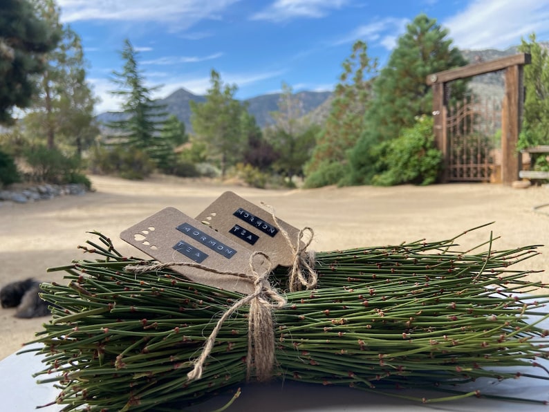 Mormon Tea ~ Wild foraged in the Mojave Desert Mountains Mahuang Tea 250g Secondary image