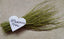 Mormon Tea - Brigham Tea - Ephedra Tea - SUBALPINE | USA WILDCRAFTED 8.8oz Dried