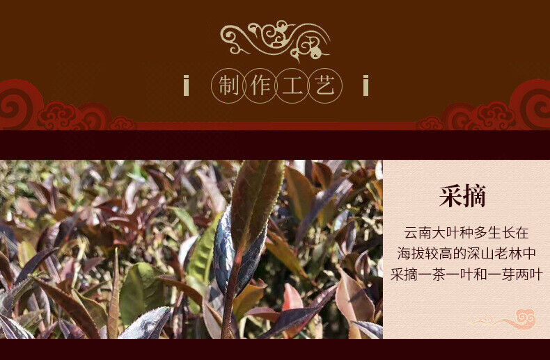 ZI JUAN Tea Yunya Purple Puer Tea Puwen Sheng PuEr Pu-erh Raw 200g
