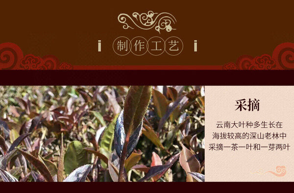 ZI JUAN Tea Yunya Purple Puer Tea Puwen Sheng PuEr Pu-erh Raw 200g