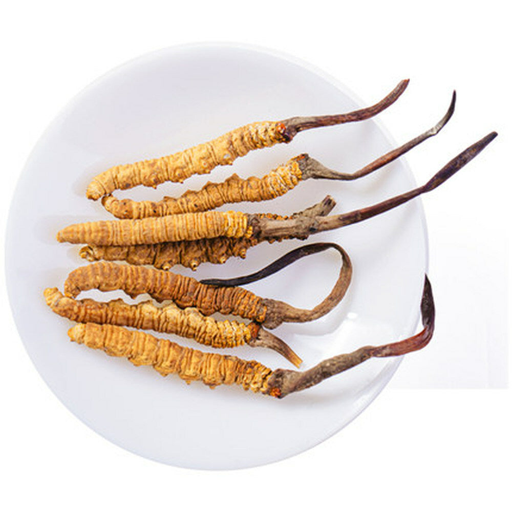 Top-quality Wild Cordyceps Sinensis From High Himalaya China Tibet 10-15 Pcs Main image