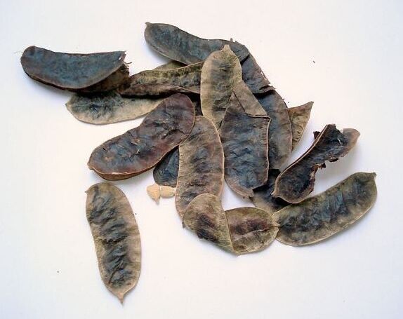 Senna Abführmittel Senna-Blätter Bio-Pulver (Senna Alexandrina) Detox-Tee
