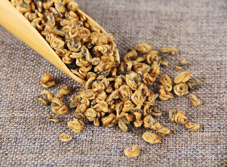 TeaPremium Golden Snail Dian Hong Jin Luo Handmade Pure Bud China Yunnan Black Tea