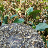 357g Raw Puerh Tea Cake Mengkulaoshu Pu-erh Tea Year Early Spring Pu'er Tea