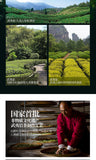 Fujian Wuyi Star New Rou Gui Rougui China Cinnamon Wu Yi Oolong Tea Yan Cha 105g