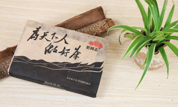 Haiwan Old Comrade Made Good Tea for Everyone Raw Pu-erh Brick Puer 250g