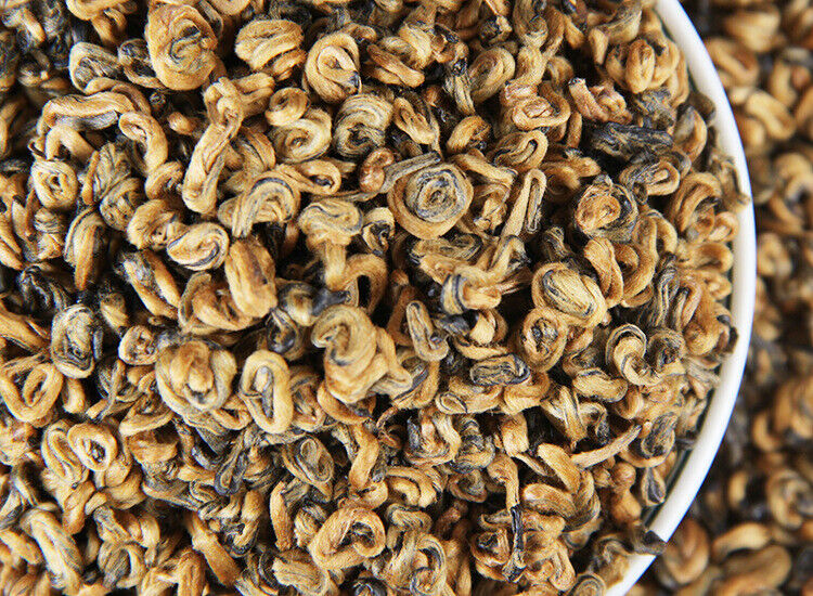 TeaPremium Golden Snail Dian Hong Jin Luo Handmade Pure Bud China Yunnan Black Tea