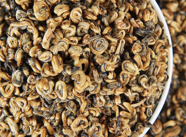 TeaPremium Golden Snail Dian Hong Jin Luo Handmade Pure Bud China Yunnan Black Tea