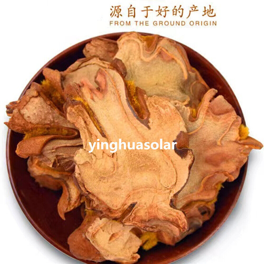 7oz 特级 金狗脊 狗脊 金毛狗脊犬片 中药材 Rhizoma Cibotii Cibotium Barometz 强腰膝祛风湿固肾气下肢酸软无力遗精起夜尿频 Secondary image