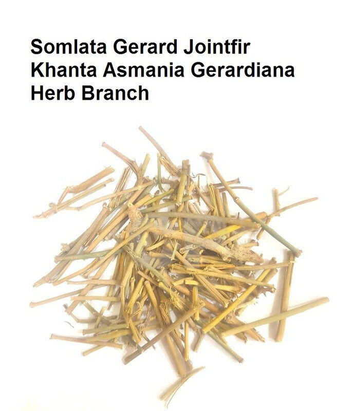 Somlata Gerard Jointfir Khanta Asmania Branch Stem Whole 1kg (35.27oZ)' Secondary image
