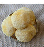 Dried Lion's Mane Mushroom Health Stomach Herbs