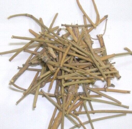 Somlata Gerard Jointfir Khanta Asmania Gerardiana Herb Branch Stem Herbal WHOLE Main image