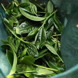 357g Yunnan Raw Puerh Tea Cake  Bingdao Spring Pu'er Raw Tea Pu-erh Cake Tea