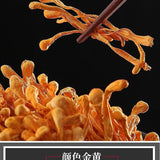 500g Chinese Dried Chinese Jin Chong Cao Cordyceps~Cordyceps Militaris Herb