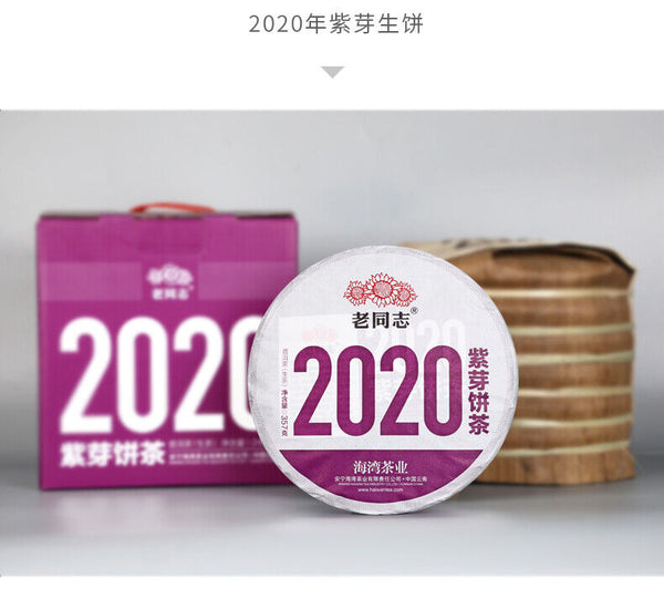Yunnan Pu'er Tea Purple Bud Haiwan Comrade Puer Raw 357g Gelanghe Old Tree