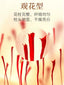 【北京同仁堂 西红花2g】藏红花China Tibetan Zanghonghua TongRenTang Tibet Saffron Stigma Croci