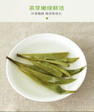 125g Big Leaf Kuding Tea Hainan Specialty Bitter Green Tea Needle Ku Ding Cha