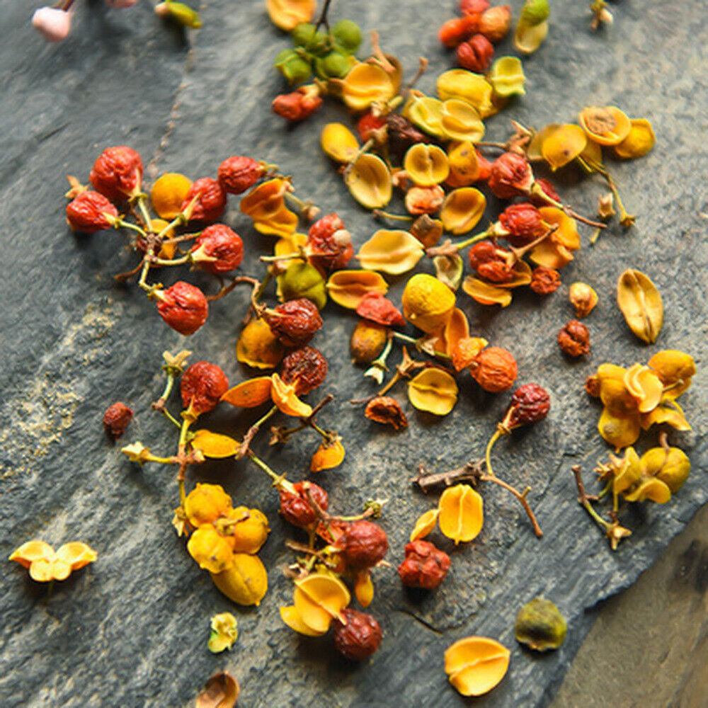 Dry Natural Albizia Julibrissin Flowering Buds Silk Tree Hehua Herbal Tea
