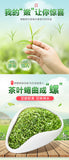 Spring Ming Qian Organic Fresh Suzhou Bi Luo Chun Green Tea Biluochun 250g