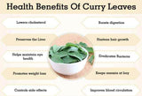 Natural Pure Premium Quality (Murraya Koenigii) Dried Organic Curry Leaves/leaf