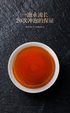 Anhua Instant Hey Cha Mini Fu Zhuan Golden Flower China Dark Tea Brick 200g