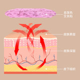 TongRenTang Mugwort Palace Warmer Patch 同仁堂艾草宫暖贴1盒10贴*2pcs 草本萃取 暖腹散寒 NEW