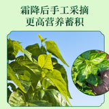 105g TongRenTang Mulberry leaf tea 同仁堂桑叶茶105g(5g*21) 正宗霜后桑叶 养生茶代用茶 NEW
