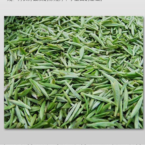 Haiwan Batch 171 Old Comrade 7548 Pu-erh Tea Cake Sheng Puer Raw Pu'er 357g