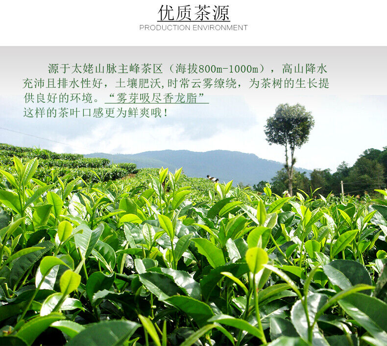 Fuding Organic Gong Mei Tribute Eyebrow High Mountain White Tea Shou Mei 300g
