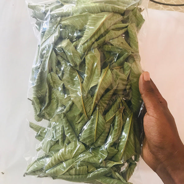 Premium Dried Guava Leaves Hojas De Guayaba Leaf 50 g-500 g