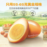 无穷农场盐焗鸡蛋 Wuqiong Salt-baked Eggs Chinese Specialty Snacks 16 Peces