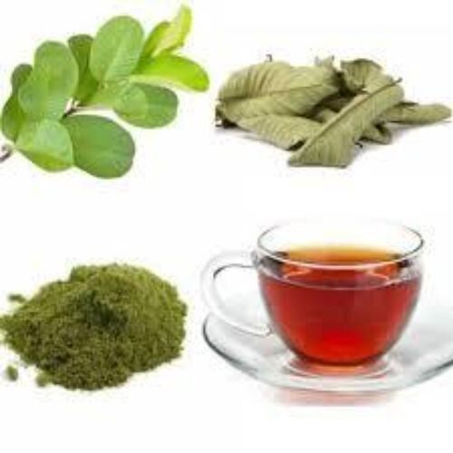 100% Herbal Tea | Loss Weight Organic Dried Guava Leaves Powder