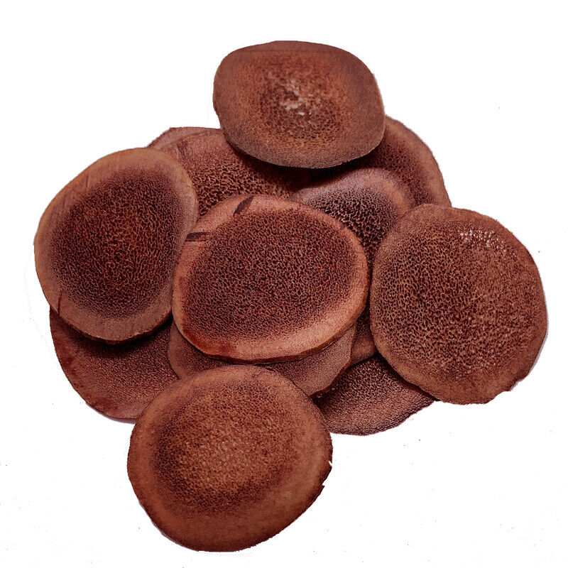Natural Red deer velvet antler slices / Lu Rong Slices Herb Good for health 鹿茸片
